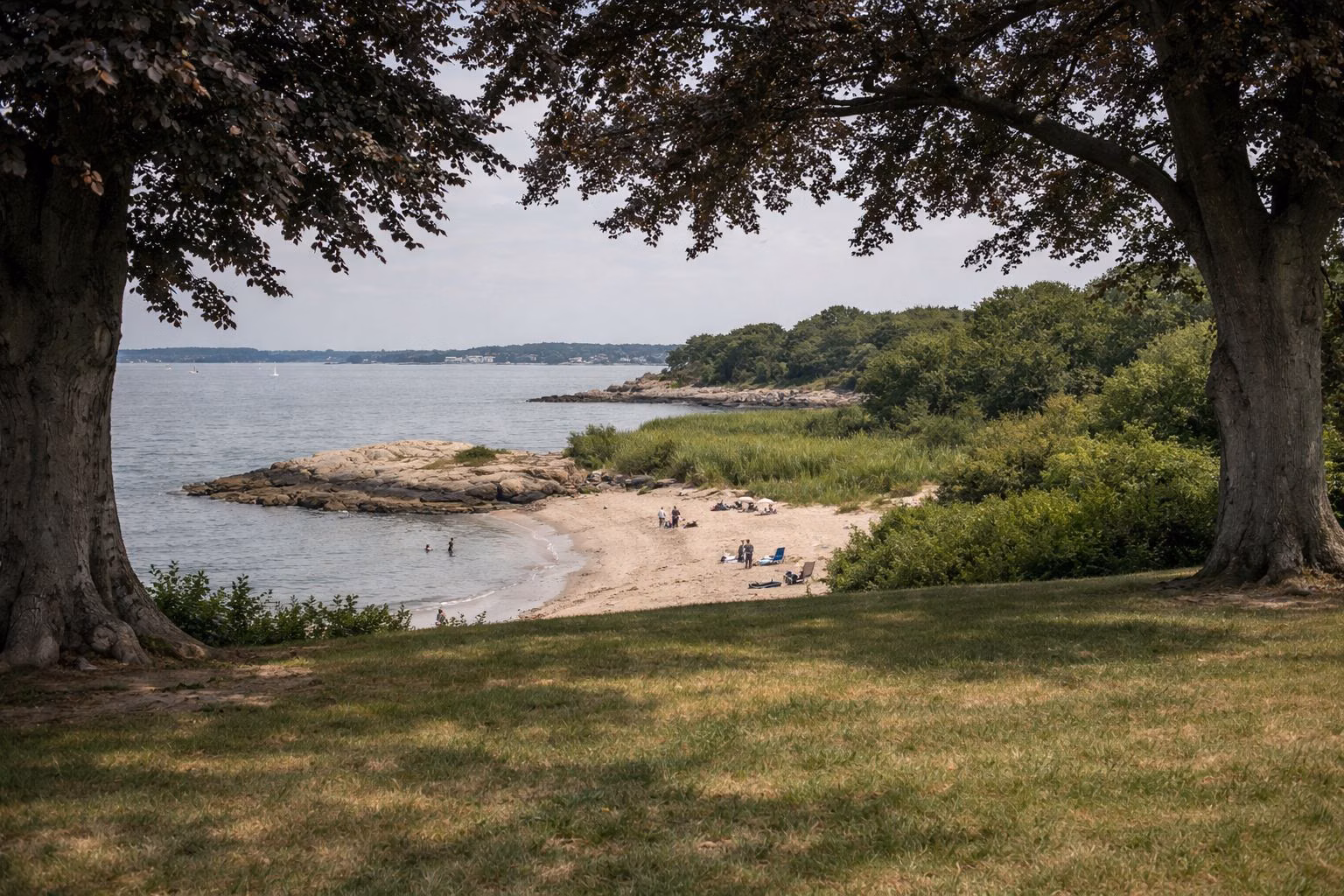 Grassy bluff with large shade trees above a small sandy beach