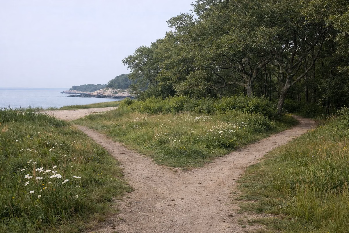 Dirt path forking at the edge of a grassy meadow in oak woods