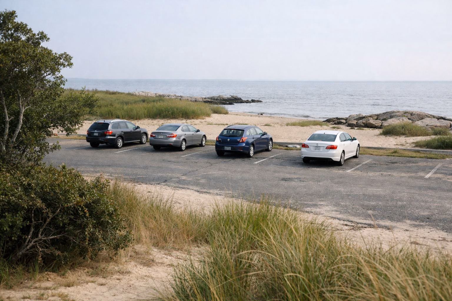 Paved beach parking lot with dune grass and oaks at the edge