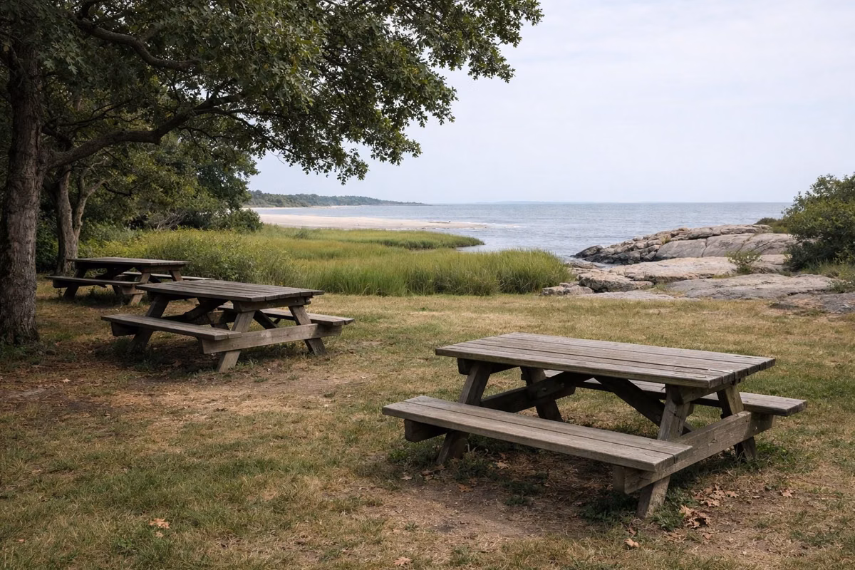 Wooden picnic tables in an oak grove beside a salt marsh