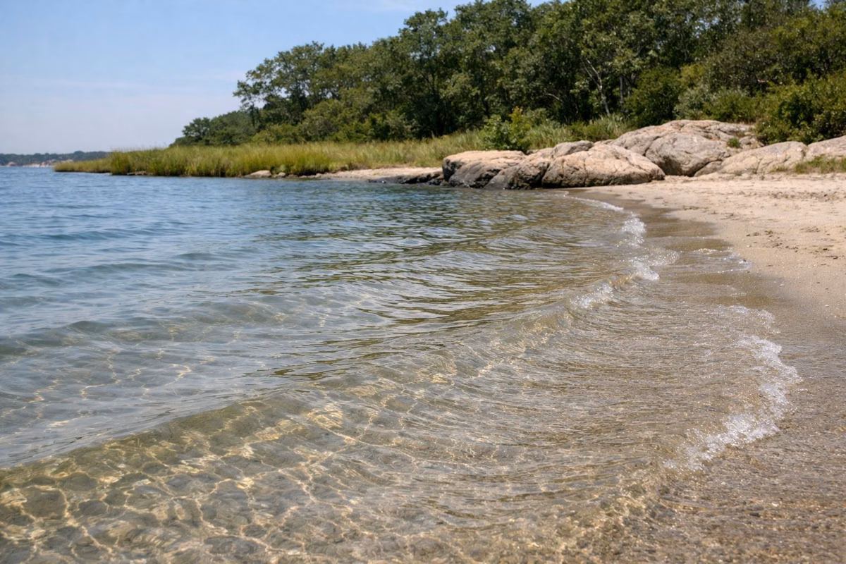 Clear shallow seawater over rippled sand at the water's edge