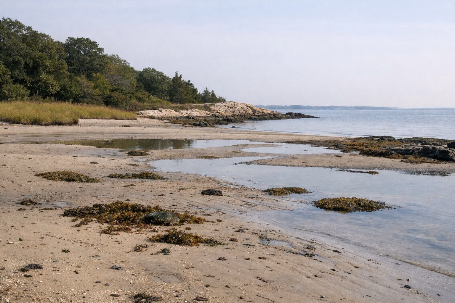 Low tide sand flats with shallow pools and calm water beyond