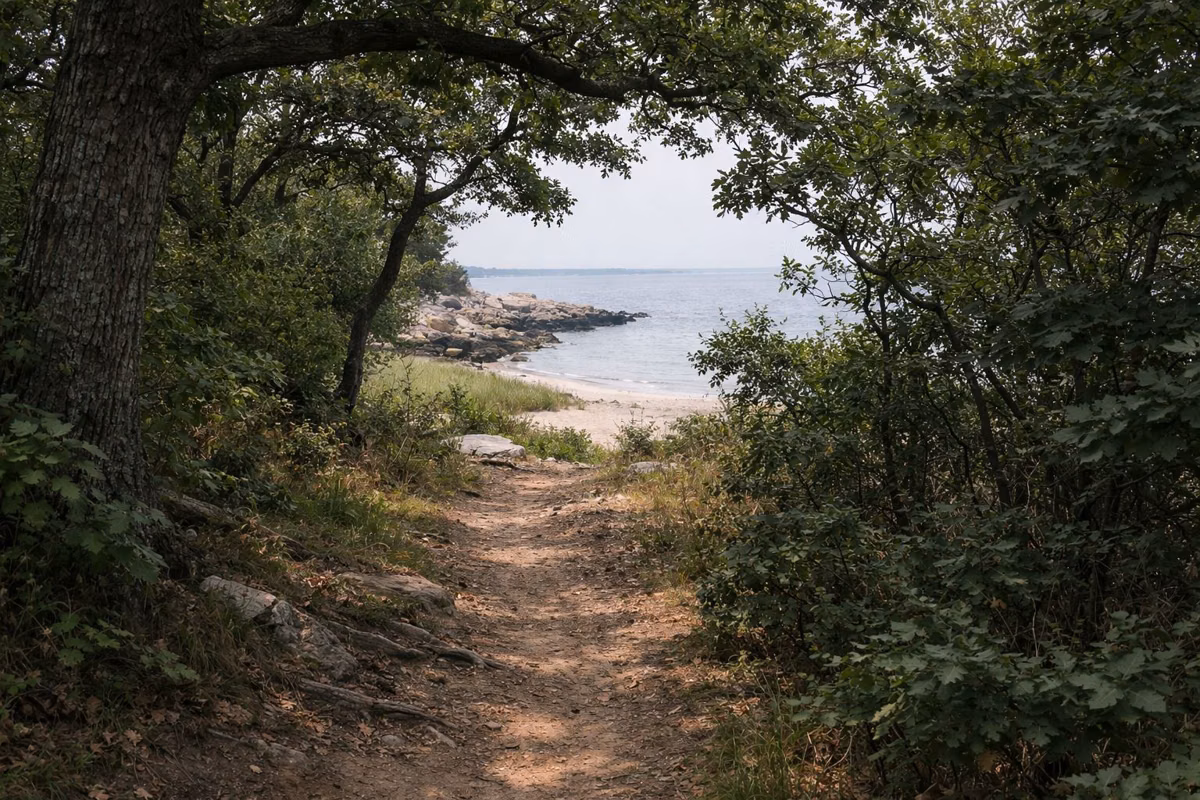 Narrow dirt trail through oak thicket with a glimpse of water